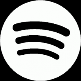 Spotify icon
